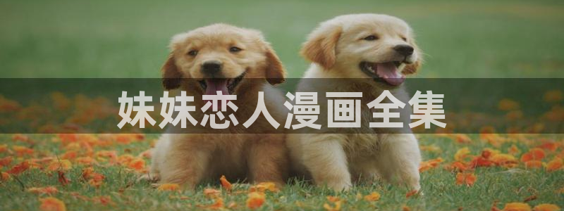 奇漫屋网站：妹妹恋人漫画全集